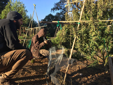 Announcing 2023 Available New Release