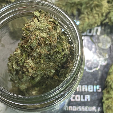 MENDO FEVER article spring 2022